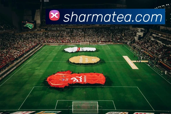 体育赛事